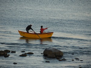 Pesca deportiva