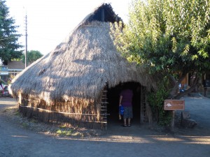SAM_1201